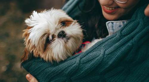 Eskişehir'de rekor kırdılar: 1 günde bin 150... 