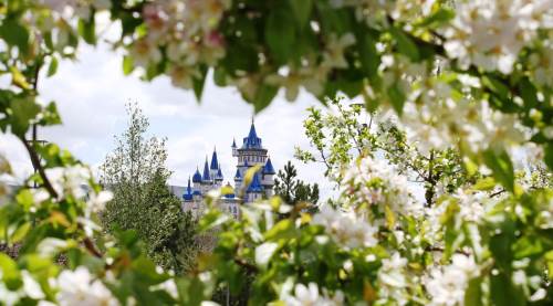 Eskişehir’de rekor kırıyor: Milyonların uğrak noktası oldu!