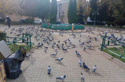 Eskişehir'de Reşadiye Camii güvercinlerin buluşma noktası oldu