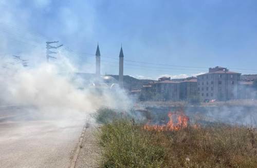 Eskişehir'de rüzgarın arttırdığı yangın kontrol altında