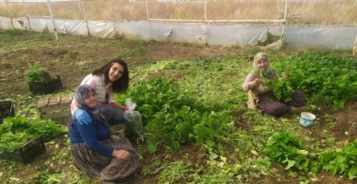 Eskişehir'de sağlıklı tarımsal üretim çalışmaları devam ediyor