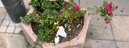 Eskişehir'de saksılar çöplüğe döndü!