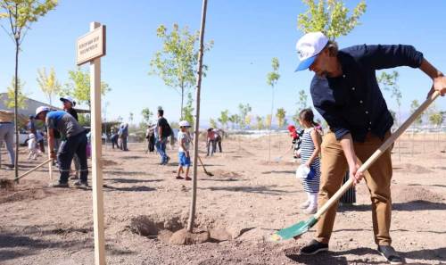 Eskişehir'de sanat ve doğa buluştu! Sevgi Ormanı oluşturuldu
