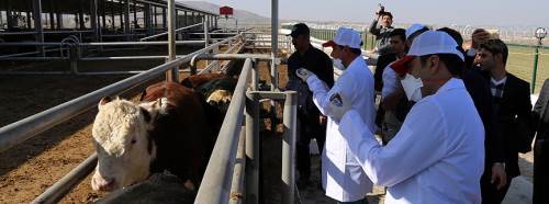 Eskişehir’de şap krizi sahada çözüldü: 2025’te rekor aşılama!