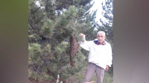 Eskişehir'de şaşkına çeviren görüntü..