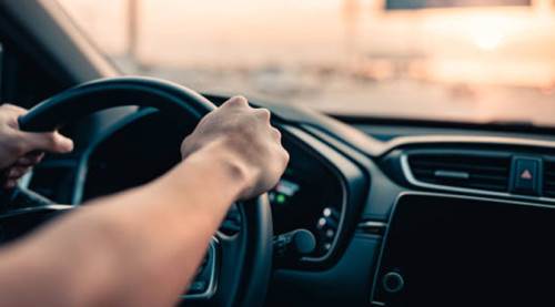 Eskişehir'de sayıları bir ayda 2 bine yaklaştı!