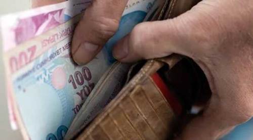 Eskişehir'de sayıları çok, aldıkları para 10 bin TL!