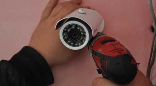 Eskişehir'de sayıları her gün artıyor