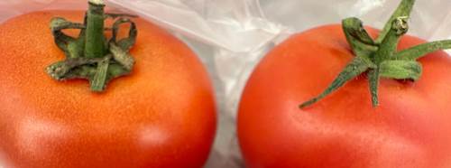 Eskişehir’de sebze ve meyvelerde güvence dönemi başladı!