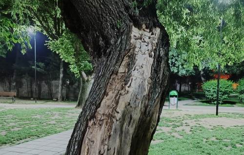 Eskişehir'de şehit parkında vandalizm!