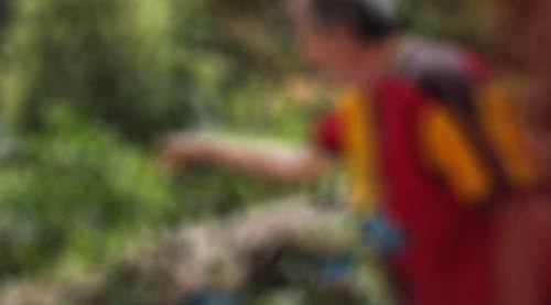 Eskişehir'de şehrin ortasında bakın neyi başarıyor...