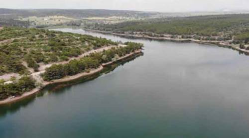 Eskişehir'de sevindiren gelişme: Haziran ayında ciddi ölçüde arttı!