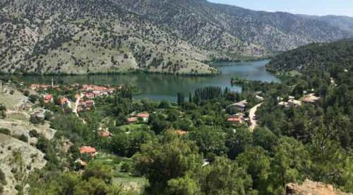 Eskişehir'de sevindiren haber: Yok denecek kadar azaldı!