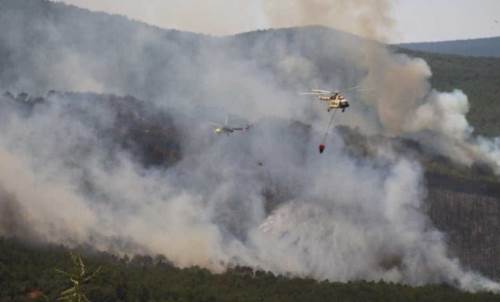 Eskişehir'de Seyitgazi’deki orman yangını büyüyor: İşte son durum