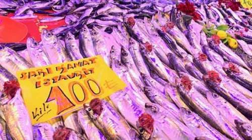 Eskişehir’de sıcaklıklar arttı, balık fiyatları da el yakacak