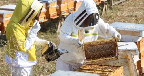 Eskişehir'de sıfırdan öğrenin: Süre uzatıldı