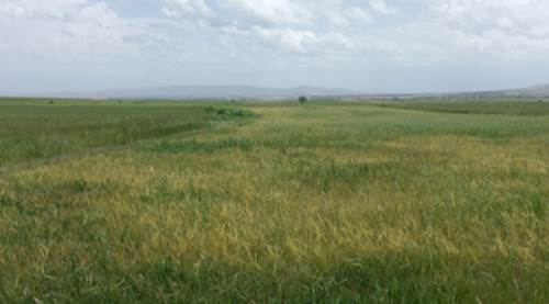 Eskişehir'de şimdi de bitmeyen yağışlar yüzünden..