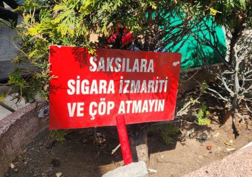 Eskişehir'de şimdi de saksıları hedef aldılar