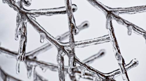 Eskişehir’de sis ve don alarmı: Sabah saatlerine dikkat!