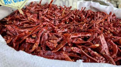 Eskişehir'de sofraların vazgeçilmezi artık cepleri yakıyor!