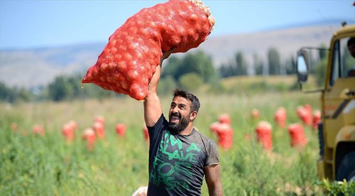 Eskişehir'de soğan kimseyi üzmeyecek