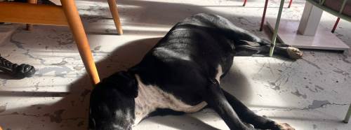 Eskişehir’de soğuğunda yürek ısıtan manzara