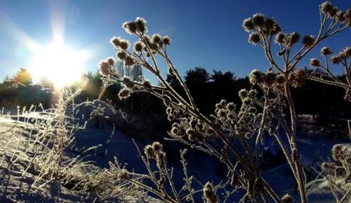 Eskişehir’de soğuk günler başlıyor: Meteoroloji duyurdu