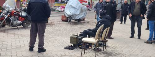 Eskişehir'de soğuk hava onları vurdu: Baharı bekliyorlar!