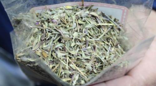 Eskişehir’de soğuk hava onu gözde yaptı: Yararı çok!