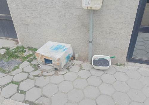 Eskişehir'de soğuk havalarda sokak hayvanları unutulmuyor