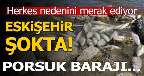 Eskişehir'de şok manzara!