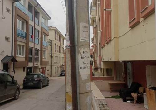 Eskişehir'de sokak direklerindeki ilan yoğunluğu dikkat çekti
