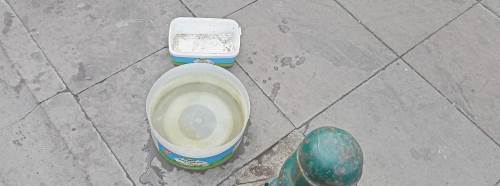 Eskişehir’de sokak hayvanları için anlamlı destek!