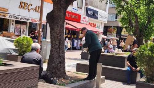 Eskişehir'de sokak hayvanları için bırakılan yemek artıkları tepki çekiyor