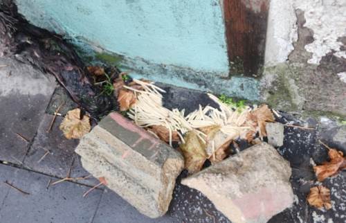 Eskişehir'de sokak hayvanları için bırakıyorlar, çevre kirleniyor!