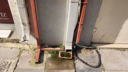 Eskişehir'de sokak hayvanları için büyük tehlike!