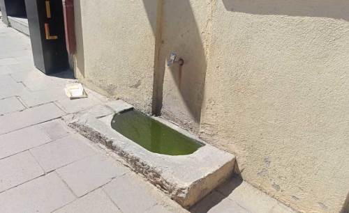 Eskişehir'de sokak hayvanları için küçük bir can suyu