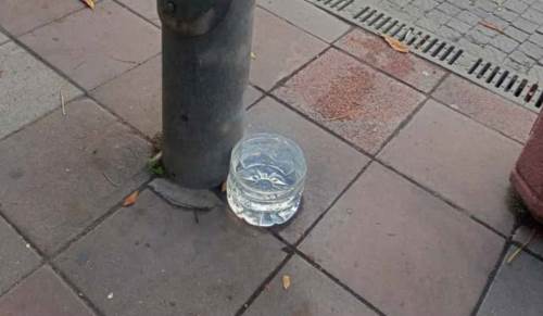 Eskişehir’de sokak hayvanları için su kapları dikkat çekiyor