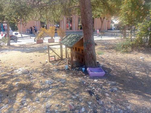 Eskişehir'de sokak hayvanları için yapılan evler çöplüğe döndü