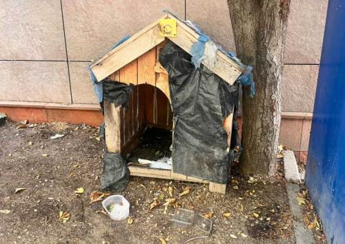 Eskişehir’de sokak hayvanları için yapıldı ama bakımsız kaldı