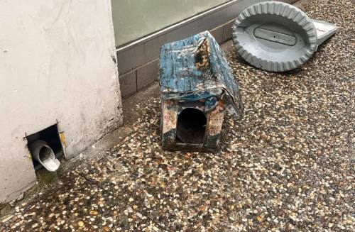 Eskişehir’de sokak hayvanlarına kulübe desteği