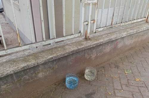 Eskişehir'de sokak hayvanlarına su desteği