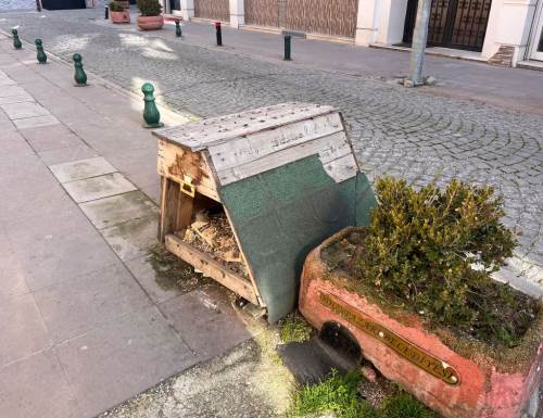 Eskişehir'de sokak hayvanlarını unutmayan vatandaş takdir topladı