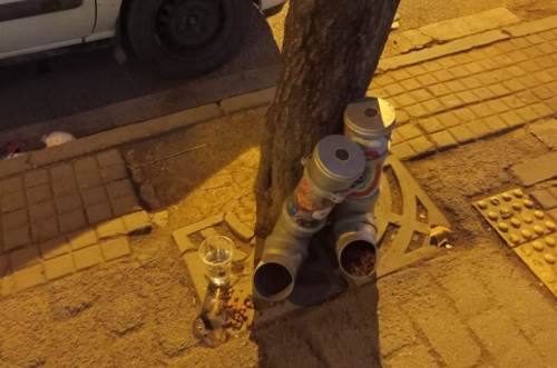 Eskişehir'de sokak kedileri için mama kapları yerleştirildi