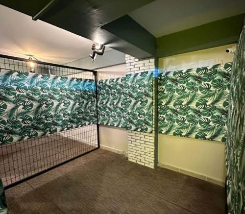 Eskişehir'de son moda bu kafeler: Sayıları giderek artıyor!