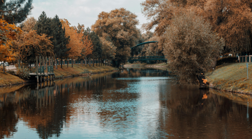 Eskişehir’de sonbahar güneşi yüzünü gösterdi!
