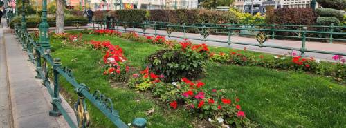 Eskişehir’de sonbaharda bile ilkbahar renkleriyle canlanıyor