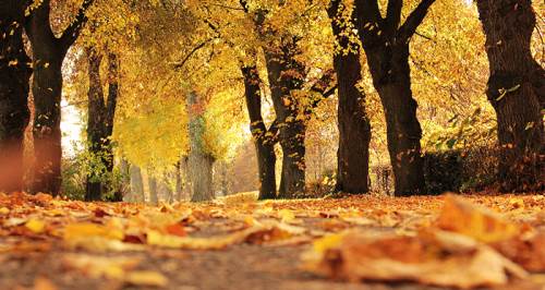 Eskişehir'de sosyal medyayı sallayacak görüntüler
