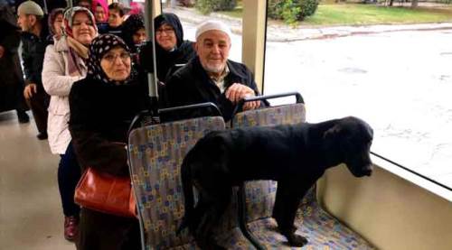 Eskişehir'de sosyal medyayı sallayan fotoğraf!