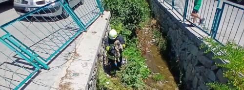 Eskişehir'de su kanalına düşen yavru köpeği itfaiye kurtardı
